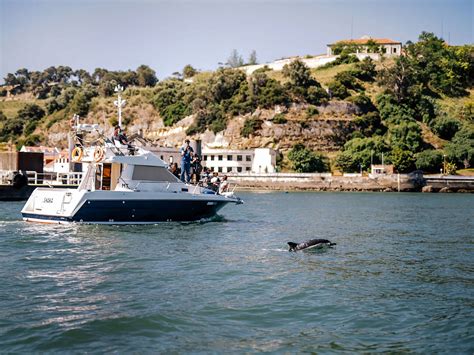 Passeios De Barco No Rio Tejo Para Todos Os Gostos