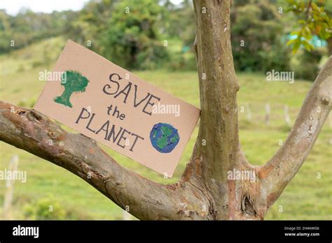 Signo De Cartón En Un árbol Que Llama A Salvar El Planeta Cuiden Del