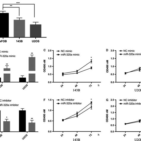 Mir‐320a Inhibits Cell Proliferation Ability In Vitro A Relative