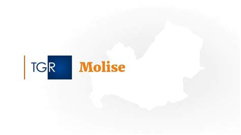 Tgr Molise H Open Data Inail Di Novembre Analisi