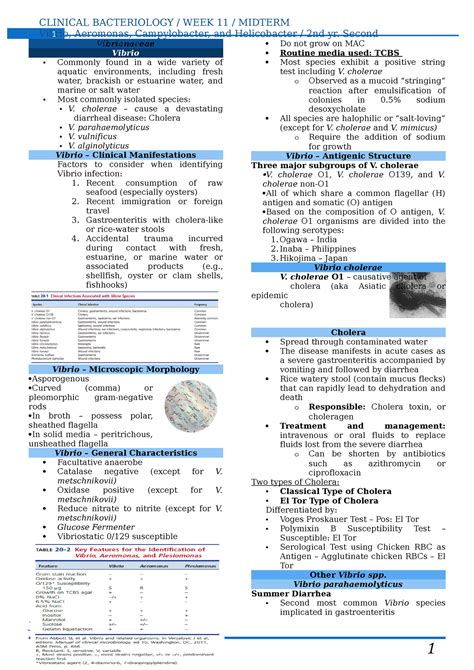 BACT Week 11 Transes Vibrio Aeromonas Campylobacter And