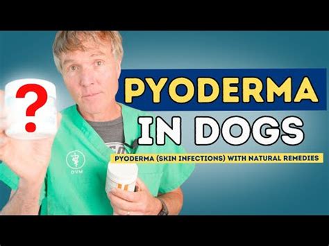 Natural Treatments for Dog Pyoderma (Skin Infections) [Research]