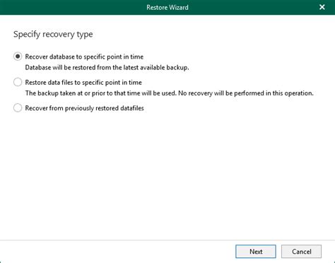 Step Specify Recovery Type Veeam Backup Explorers Guide