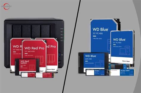 Western Digital Red vs Blue: Which Is Better on 2023? - Memoright