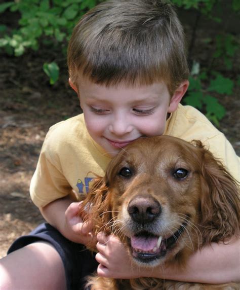 Positive Discipline Training | Lucky Dog Training Asheville