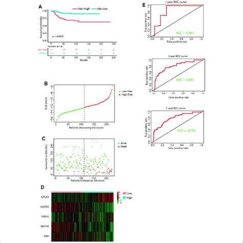 External Validation Of The Five Gene Signature A KM Curves For