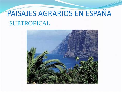 Paisajes Agrarios En Espa A Ppt