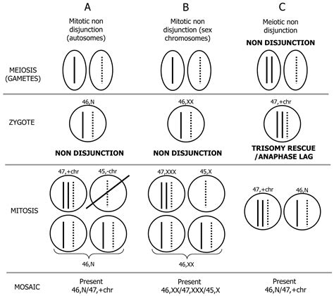 Genetic Mosaicism Gender