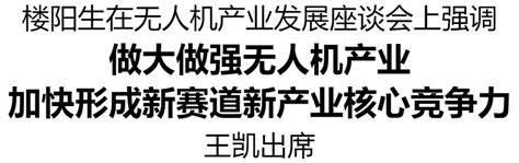 楼阳生主持召开无人机产业发展座谈会 河南人大网