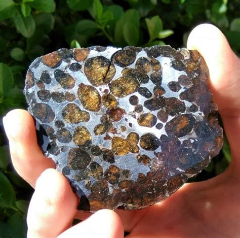 Sericho pallasite Slice. Stony-Iron Meteorite - 36.7 g - Catawiki