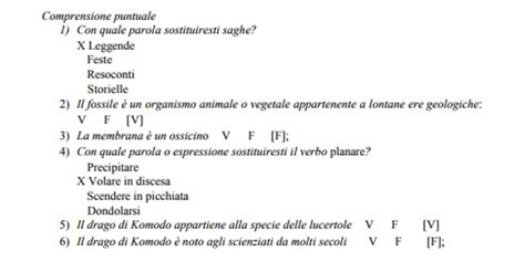 Esempi Di Domande Sulla Tipologia A E C Tracce Dei Temi Di Italiano