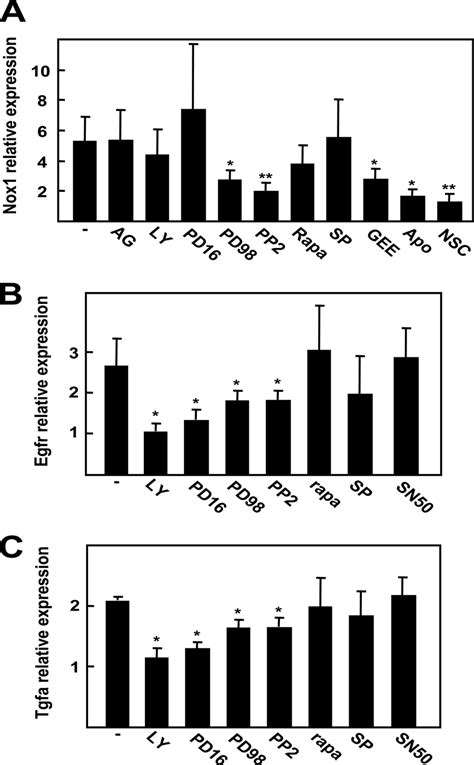 Signaling Pathways Controlling Nox Egfr And Tgf Upregulation Real