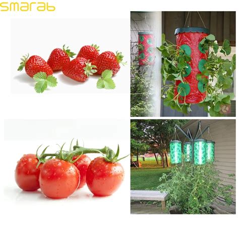 Garden Tomato Strawberry Upside Down Hanging Grow Planting Bag