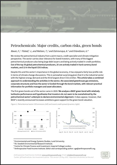 Petrochemicals Major Credits Carbon Risks Green Bonds Altiorem