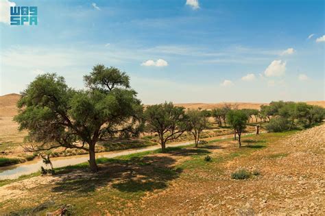 Imam Abdulaziz Royal Reserve Home For Geological Wonders And