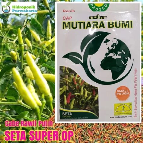 Benih Cabai Cabe Rawit Seta Super Cap Mutiara Bumi Isi 600 Butir