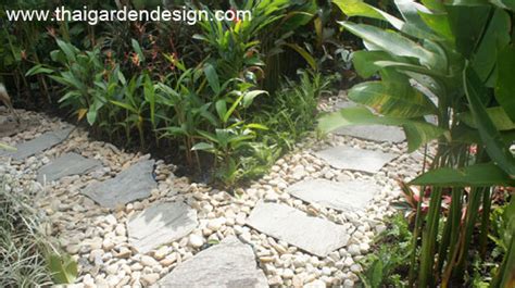 Plants For Rock Gardens In The Shade | Fasci Garden