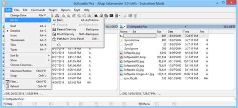 Download Altap Salamander 3.08