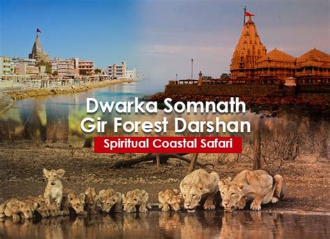 Dwarka Tour Packages Book Dwarkadhish Packages