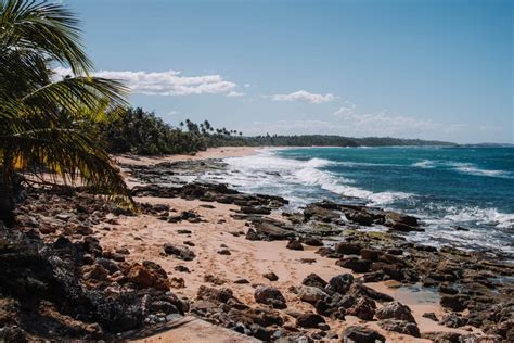 Things to Do in Manatí | Discover Puerto Rico