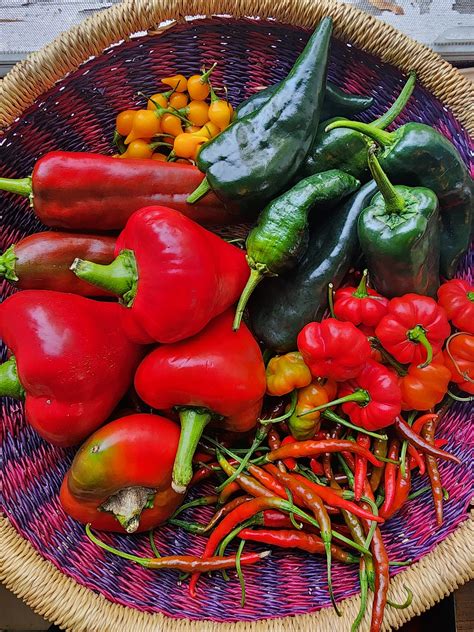 city of eastpointe mi is seeing a community revitalization effort 11