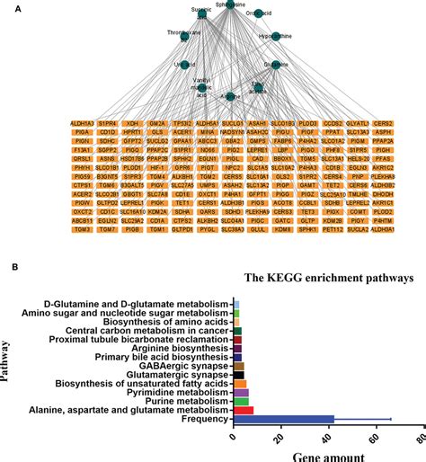 Frontiers Integrative Analysis Of Metabolomics And Transcriptomics