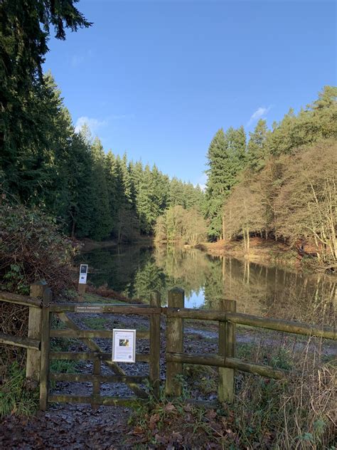 Robins wood heritage site (shot with XR) : r/iPhoneXR