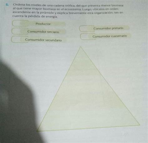 Hola Me Pueden Ayudar Con Esta Tarea Xfavor Brainly Lat