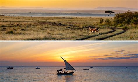 Zanzibar & Safari | View our itineraries