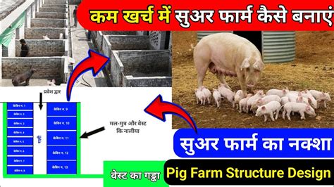 Pig Farm Shed Structure Pig Farming In India Pig Farming For