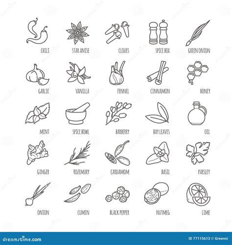 Especias E Iconos Del Vector De Los Condimentos Ilustración del Vector