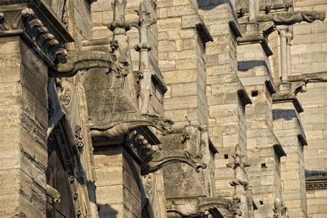 notre dame paris statues and gargoyles 17365046 Stock Photo at Vecteezy