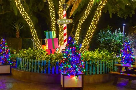 See Christmas Lights In West Palm Beach Beach Water Sports