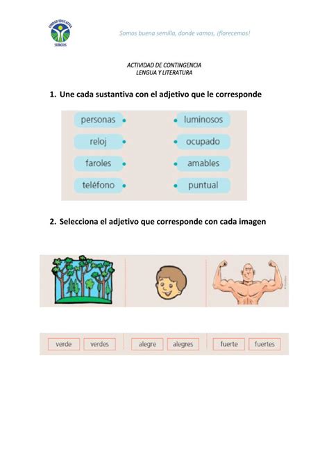 Adjetivos Free Worksheet Live Worksheets