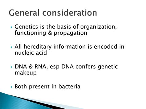 Solution Bacterial Genetics Studypool