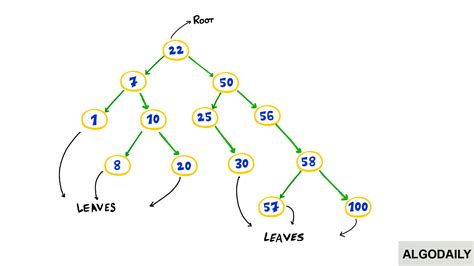 Algodaily Identical Trees