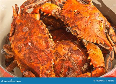 Steamed And Seasoned Chesapeake Bay Blue Crabs Stock Image Image Of Spicy Hotmessy 100348123