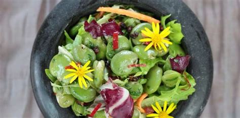 Salade De F Ves Fra Ches Cueillette Chapeau De Paille