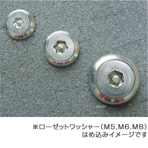 DBX5010 デュラボルト DURA BOLT トルクスボルト ボタンタイプ M5X10mm2 75mm P0 8 ステンレス 2本入り