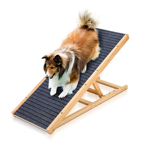 Rampe Pour Chiens Rampe D Acc S Pour Chiens Cm Animaux Domestiques