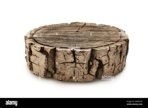 Wooden Stump Isolated On White Background Cross Section Of Tree Trunk