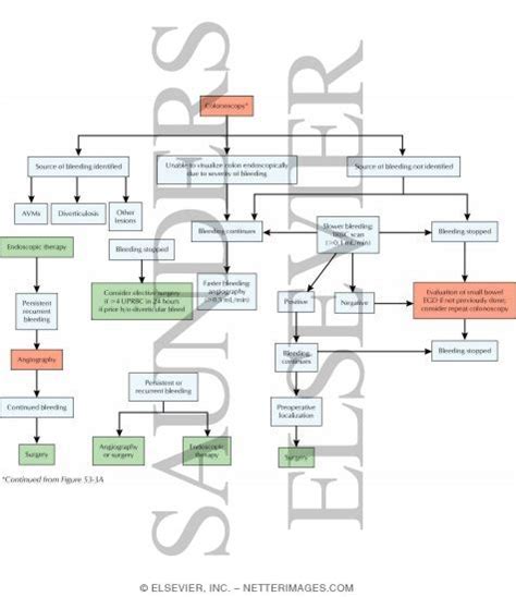 Acute Lower Gastrointestinal Bleeding