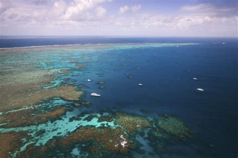 Coral Reefs Everything You Need To Know Ecowatch