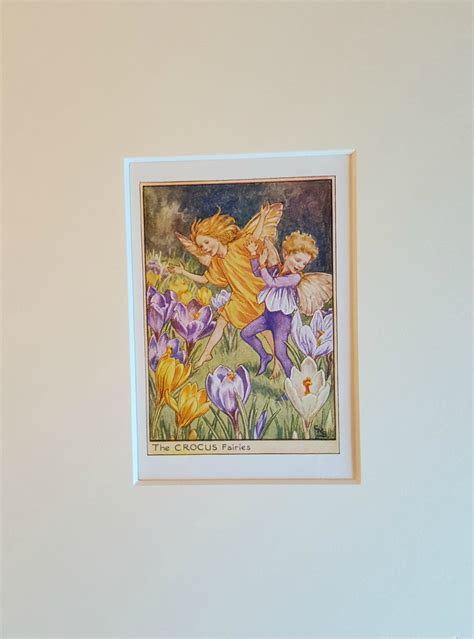 Flower Fairy Mounted Vintage Print Crocus Garden Fairy Cicely Mary