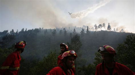 Portugal Waldbr Nde W Ten Erneut Feuerwehr Leute Im Einsatz