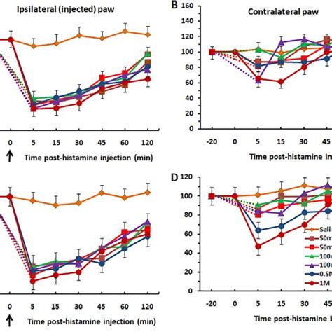 Thermal Hyperalgesia And Mechanical Allodynia Induced By Intraplantar