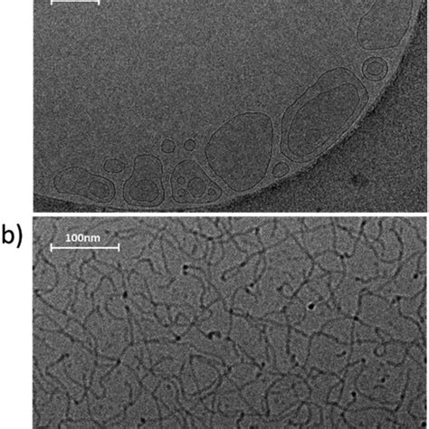 Cryo Tem Images Of The Wt G Sample A Before And B After