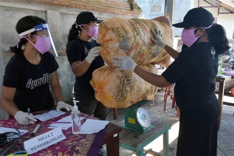 Denpasar Luncurkan Bank Sampah Anak Emas Pertama Subbali