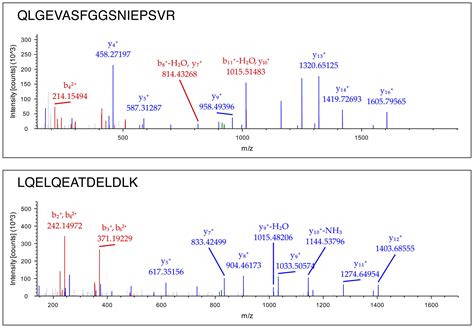 Mass Spectrometric Identification Of Dystrophin The Protein Product Of