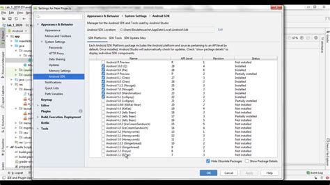 Android Studio Using SDK Manager YouTube